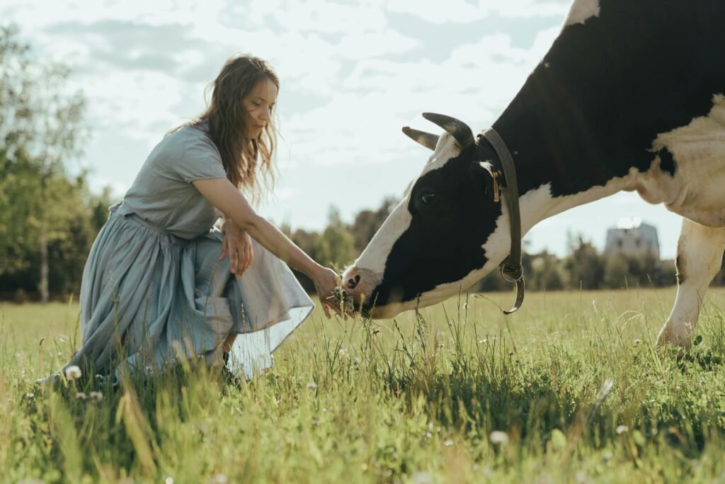 Dairy Farm Jobs in New Zealand