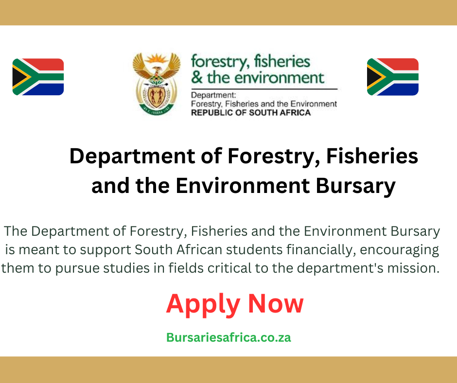 Bursary South Africa Bursaries Africa