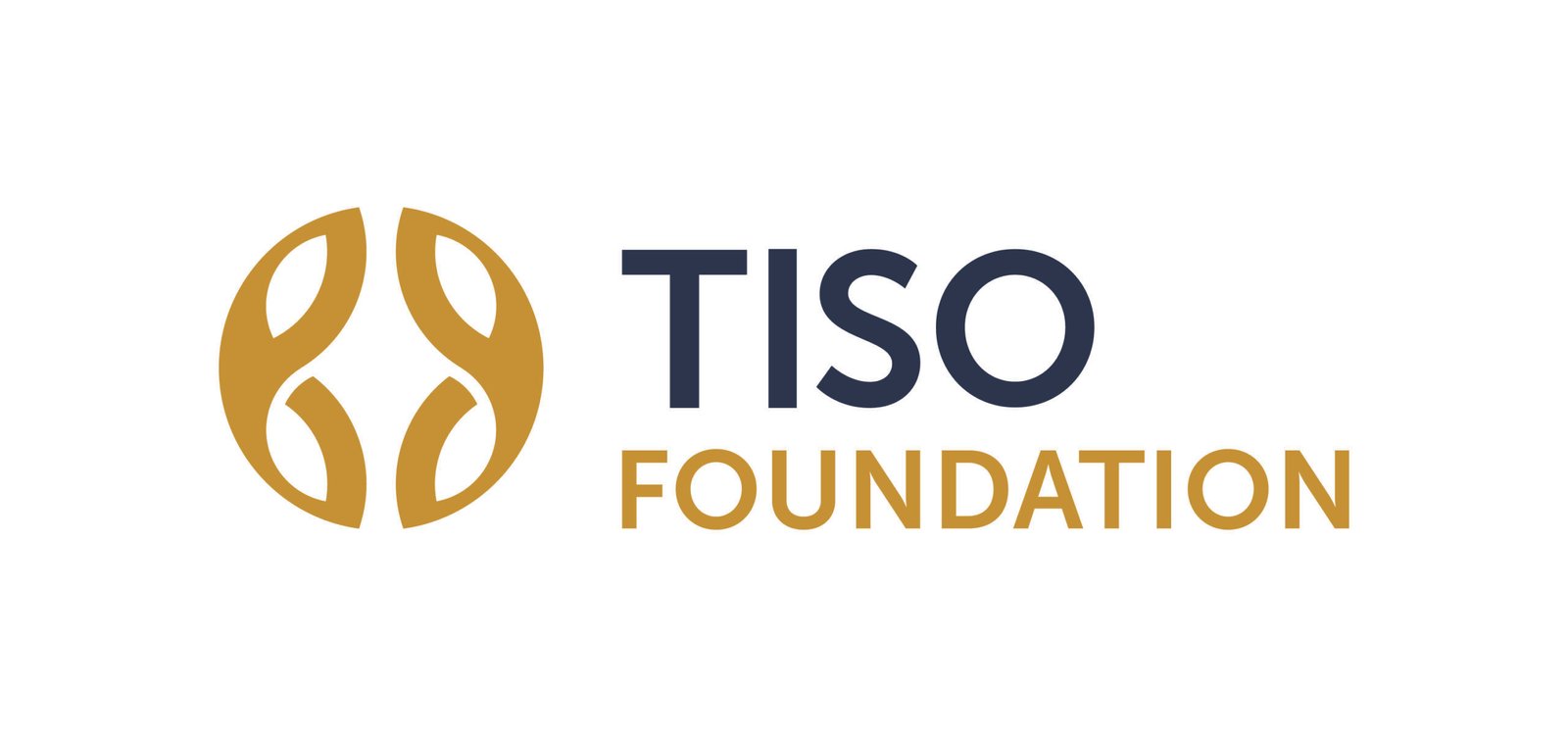 Tiso Foundation logo