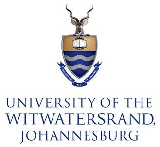 Wits logo